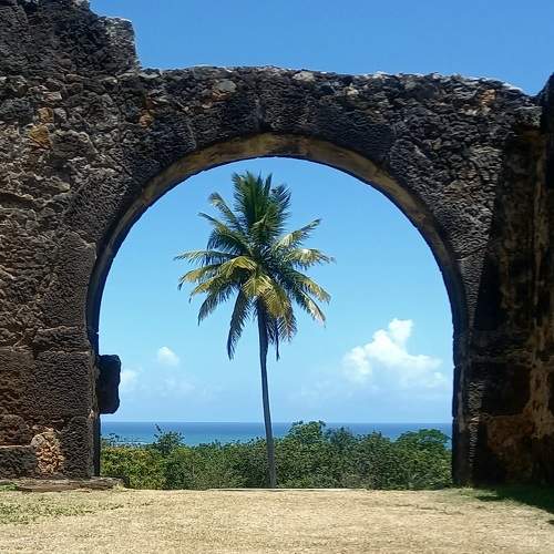 Photo #8833735
