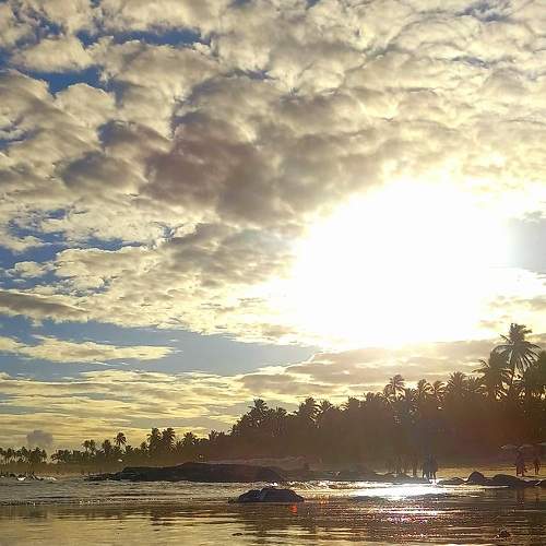 Photo #8833736