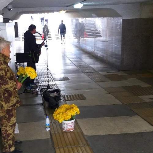 Photo #8833955