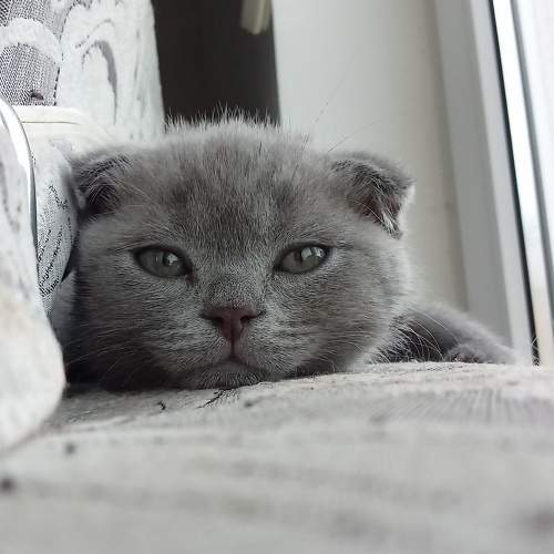 Photo #8834001
