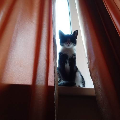 Photo #8834018