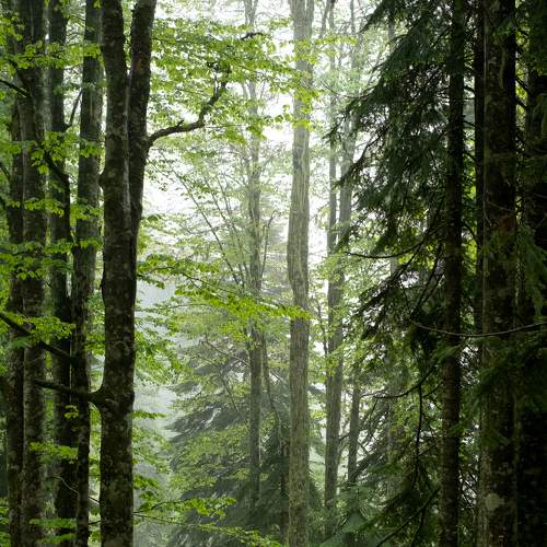 Photo #8834242