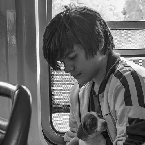 Photo #8834244