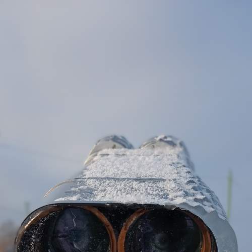 Photo #8834600