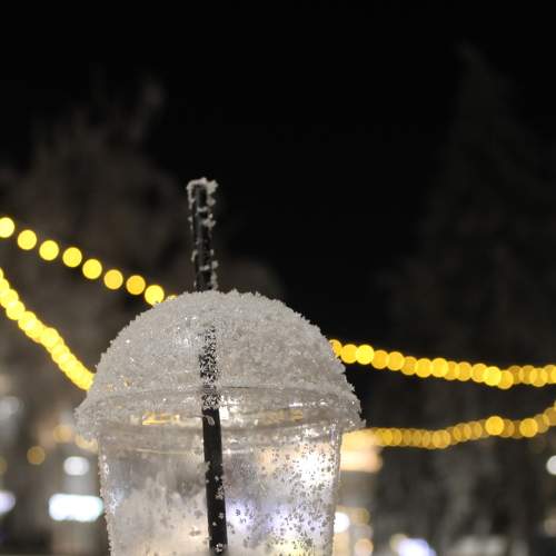 Photo #8834659