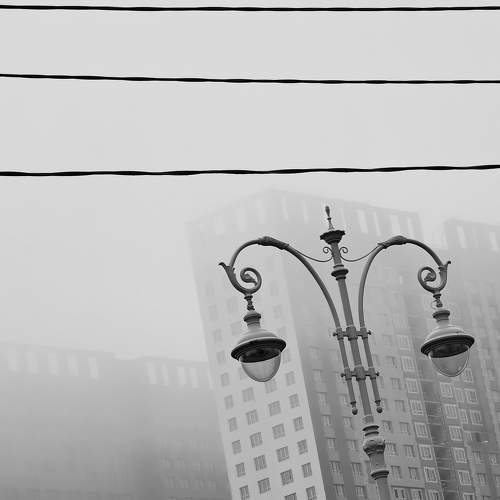 Photo #8834744