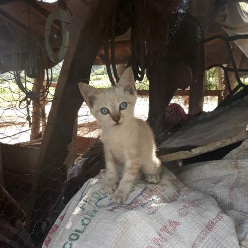Photo #8834881