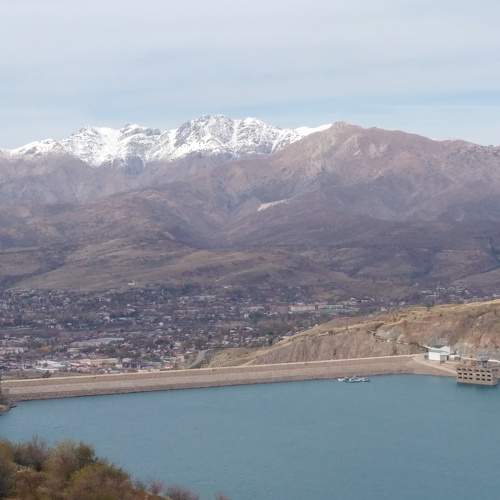 Photo #8834932