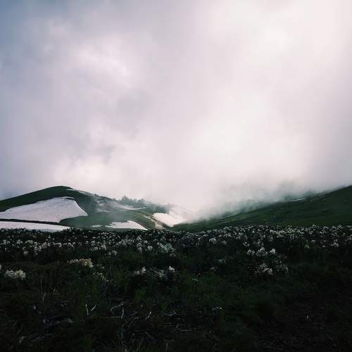 Photo #8835126