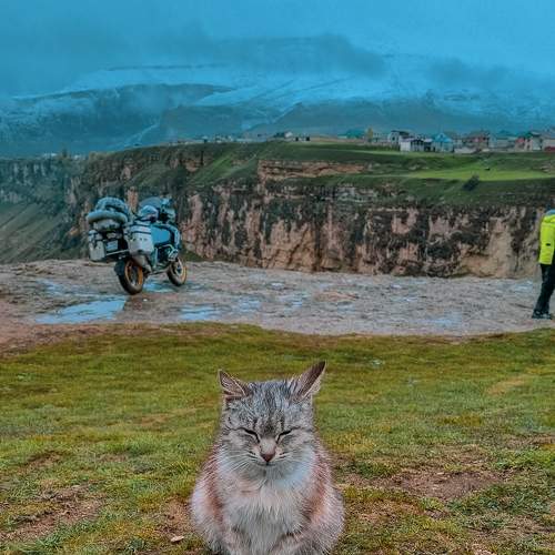 Photo #8835251