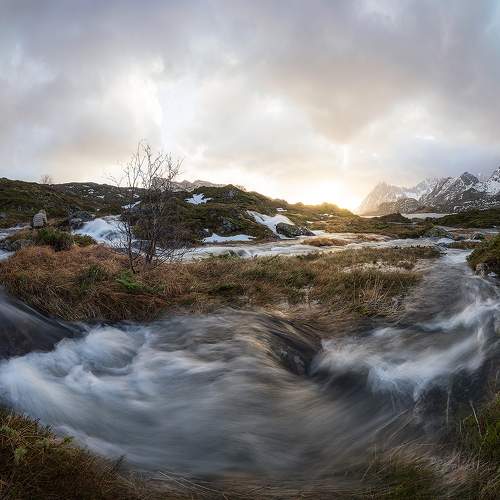 Фотография #8835300