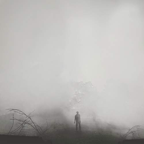 Photo #8835450