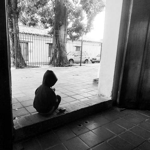 Photo #8835595