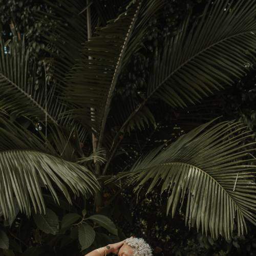 Photo #8835675