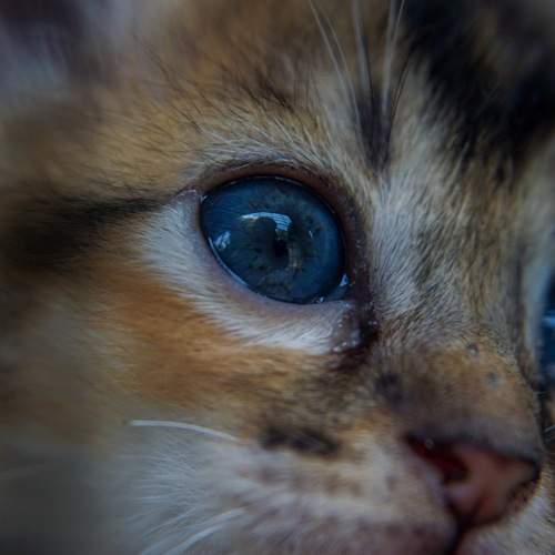 Photo #8835703