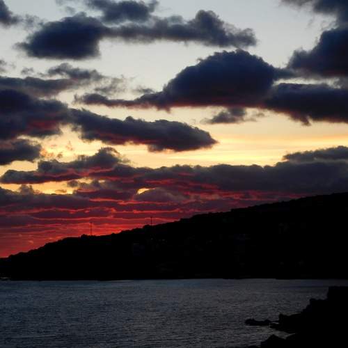 Photo #8836002