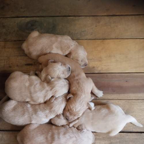 Photo #8836194