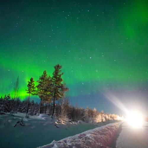 Photo #8836453