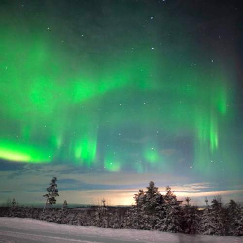 Photo #8836455