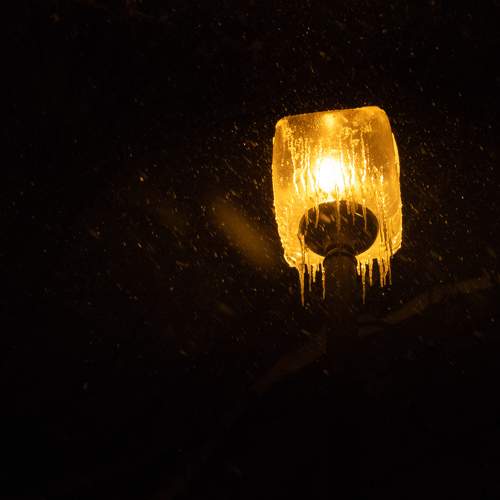 Photo #8836519
