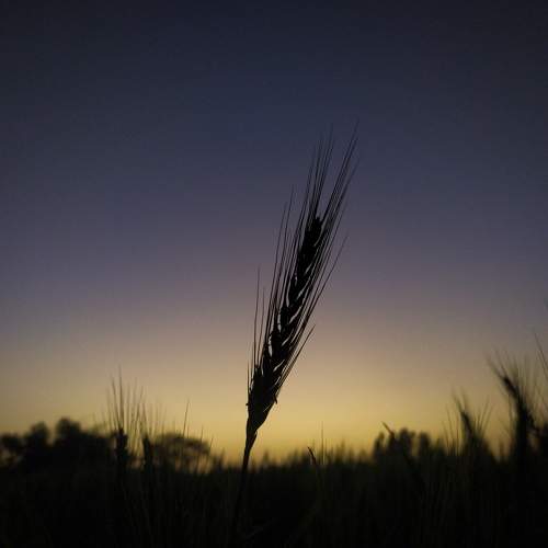 Photo #8836739