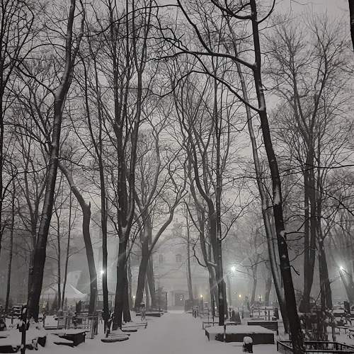Photo #8836909
