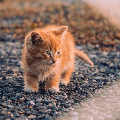 Photo #8836943