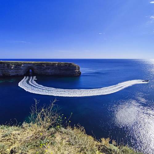 Photo #8837220