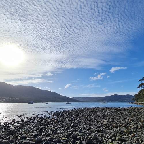 Photo #8837420