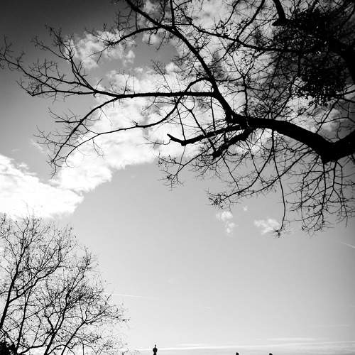 Photo #8838002