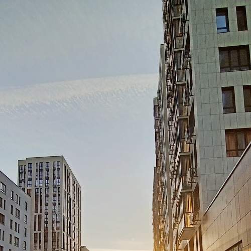 Photo #8838112