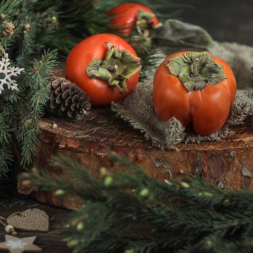 Photo #8838188