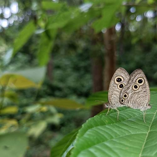 Photo #8838327