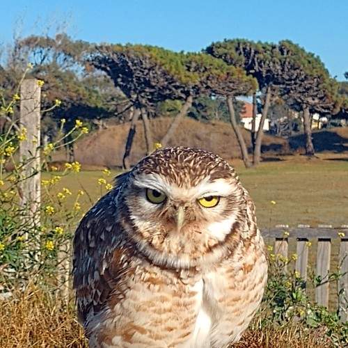 Photo #8838337