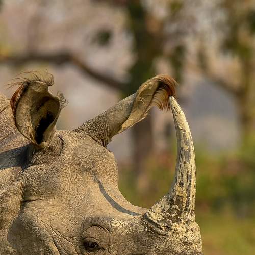 Photo #8838392