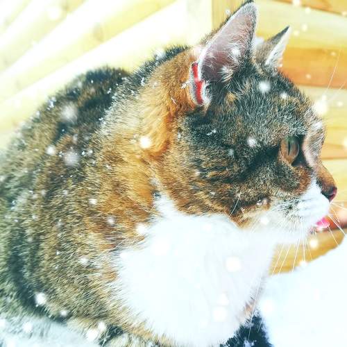Photo #8838573