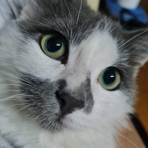 Photo #8838693