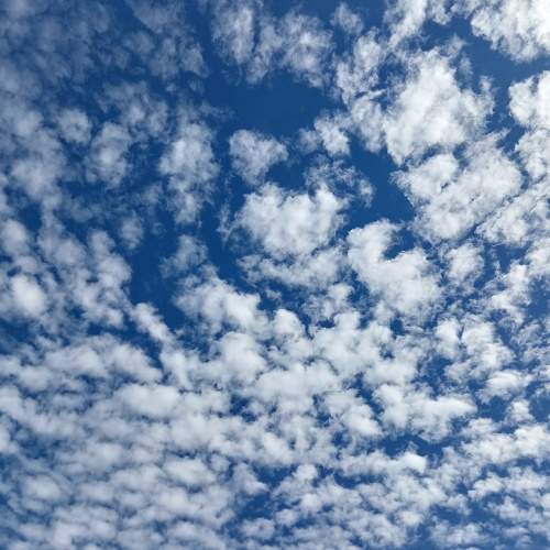 Photo #8838770