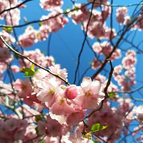 Photo #8838810
