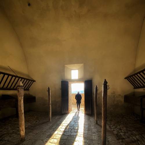 Photo #8838855