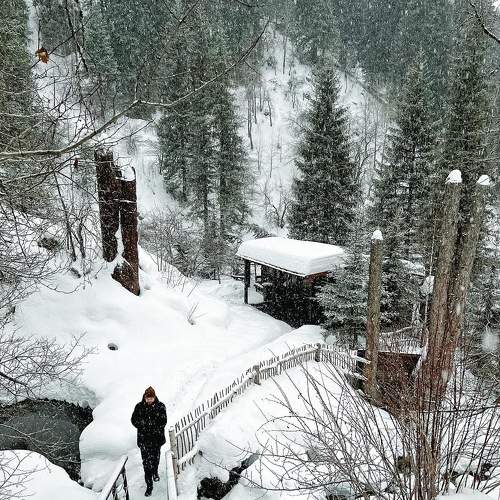 Photo #8838947