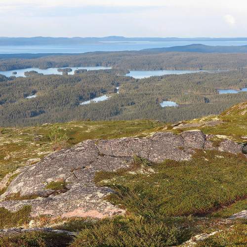 Photo #8839051