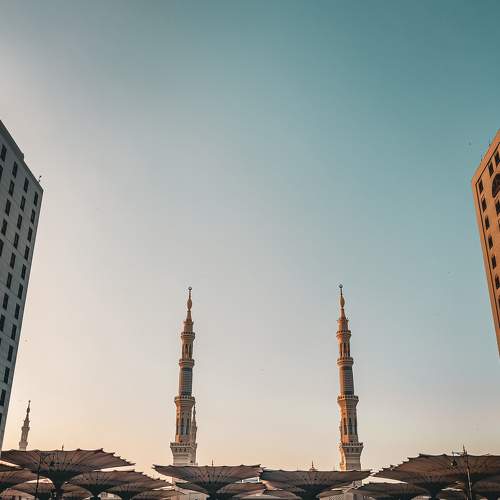 Photo #8839134