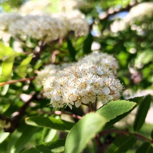 Photo #8839277