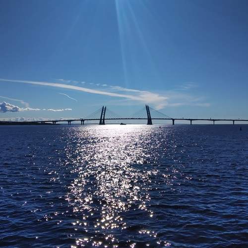 Photo #8839423