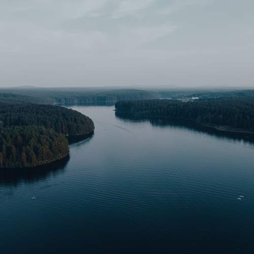 Photo #8839434