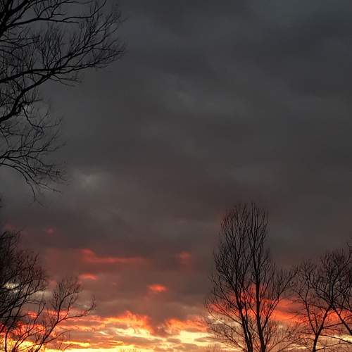 Photo #8839523