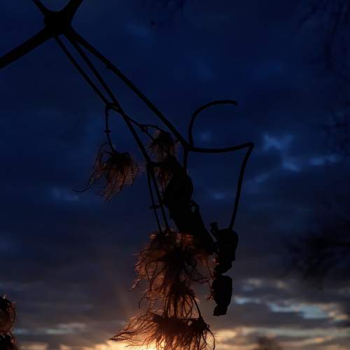 Photo #8839530