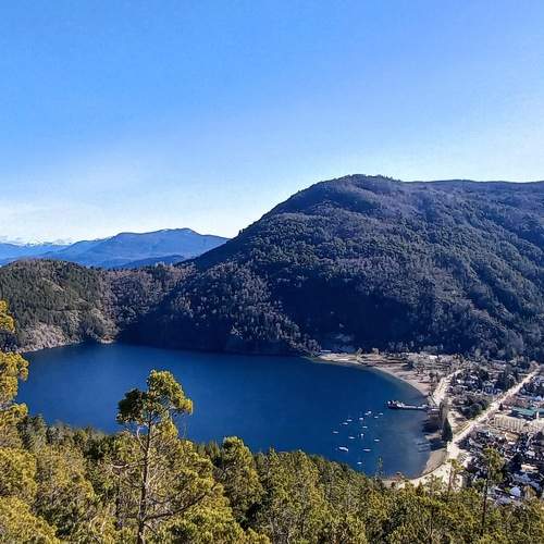Photo #8839569