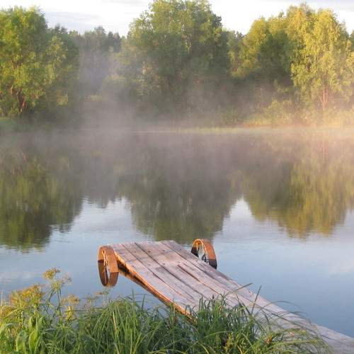 Photo #8839941